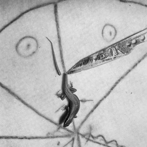 Sliced, Roger Ballen
