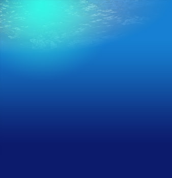 image 30