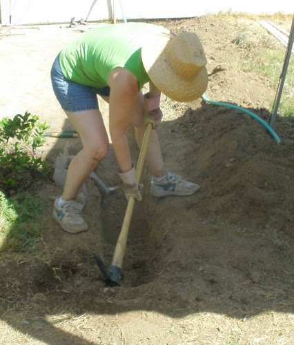 Proof, the princess does manual labor!