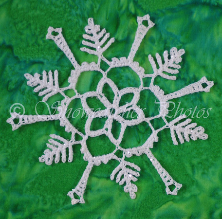 A Snowflake for Marikamum A Snowflake for Marikamum