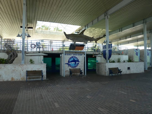 Aquarium «Mote Marine Laboratory & Aquarium», reviews and photos, 1600 Ken Thompson Pkwy, Sarasota, FL 34236, USA