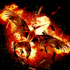 
The Hunger Games Logos + Lenticular 3D

