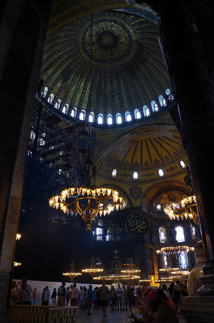 IMGP2469