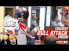 Funny Reaction Video Angry Bulls Attacking People Animal Attack Reaction Video | FYF Sports Debates