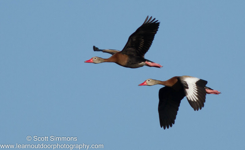 Photo & Video Sharing by SmugMug Photo & Video Sharing by SmugMug