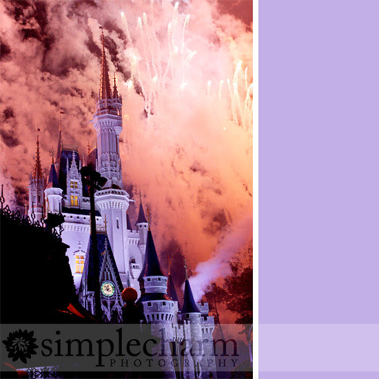 magic-kingdom-fireworks