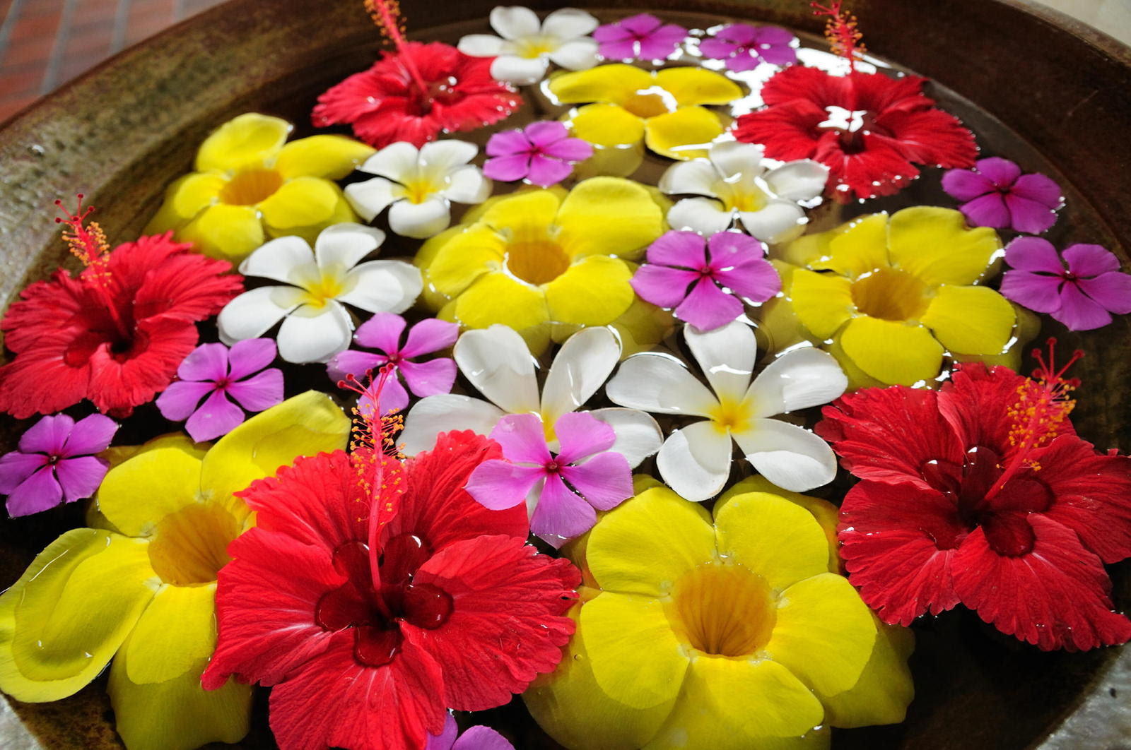 ハワイ 花 画像 人気の画像を無料でダウンロード