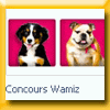 WAMIZ JEU INSTANTS GAGNANTS (Facebook) WAMIZ JEU INSTANTS GAGNANTS (Facebook)