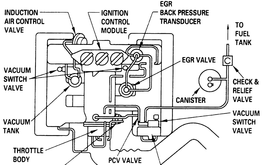 2000 Chevy Blazer Evap System Diagram - Wiring Diagram Database