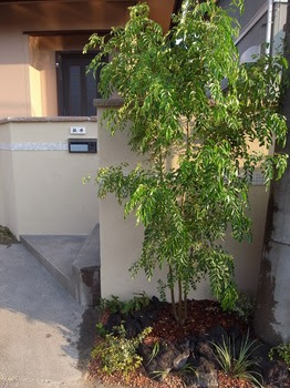 R0014155.jpg