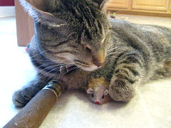 Maggie with a mouse under her arm