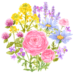 すべての美しい花の画像 おしゃれ 水彩 かっこいい 花 イラスト