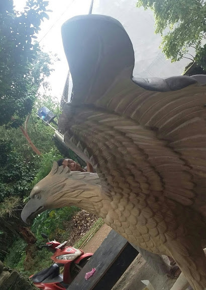 28 Gambar Burung Rajawali Gani Gambar