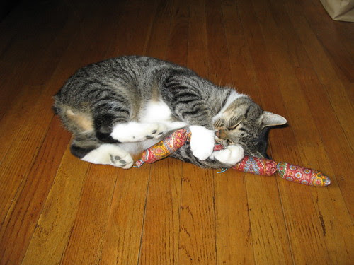 Murderface and his Hot Cat
