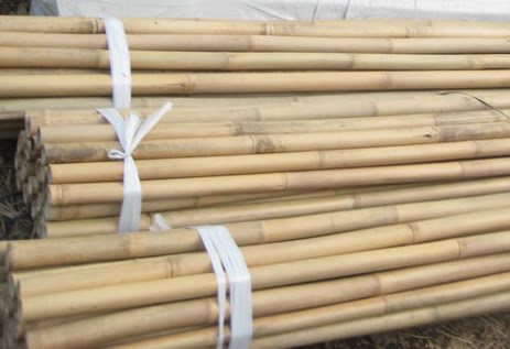Baustoffhandel Bambusrohre kaufen baumarkt