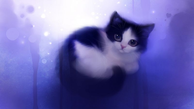 Download 52+ Background Cantik Kucing HD Paling Keren