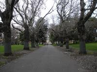 Free Image Hosting at www.ImageShack.us