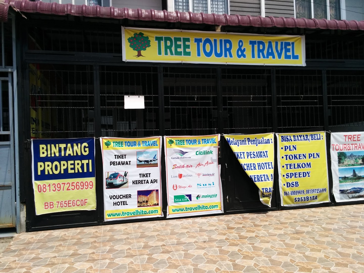 Tree Tour & Travel Photo