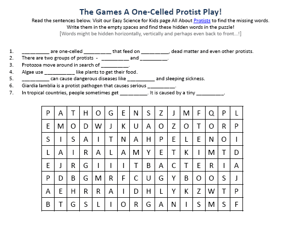 31 Protist Worksheet Middle School - Worksheet Resource Plans