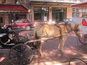 Carriage, Natchitoches, Louisiana