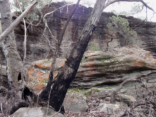 Contrast rocks