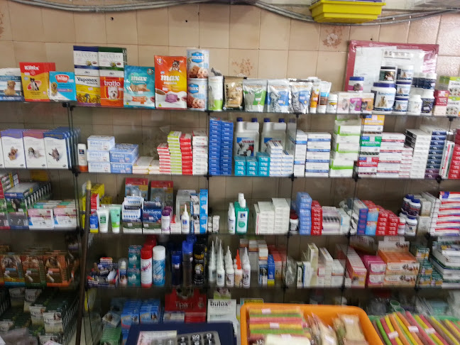 Clinica Veterinária, Pet Shop e Banho e tosa Dog Mimado - São Paulo