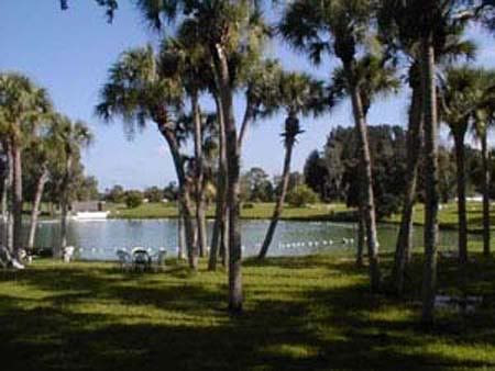 Warm Mineral Springs