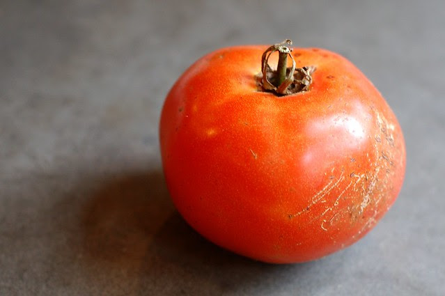 Tomato by Eve Fox, Garden of Eating blog, copyright 2011