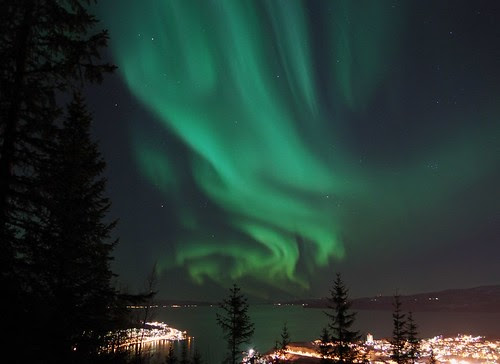 Narvik Aurora Boreale