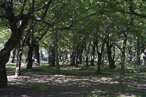 高田公園2-1