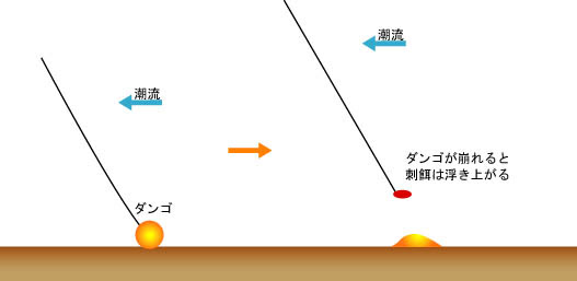 元の紀州釣り 釣り方 すべての魚の画像