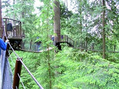 加拿大Treetops Adventure /無限台南
