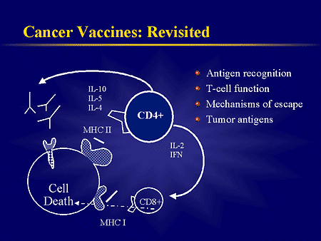 cancer vaccine ppt Cancer vaccines presentation.
