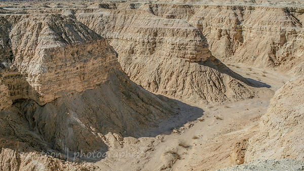 Landscape of the desert