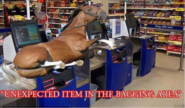 unexpected_horse_in_bagging_area_horsemeat_horseburger