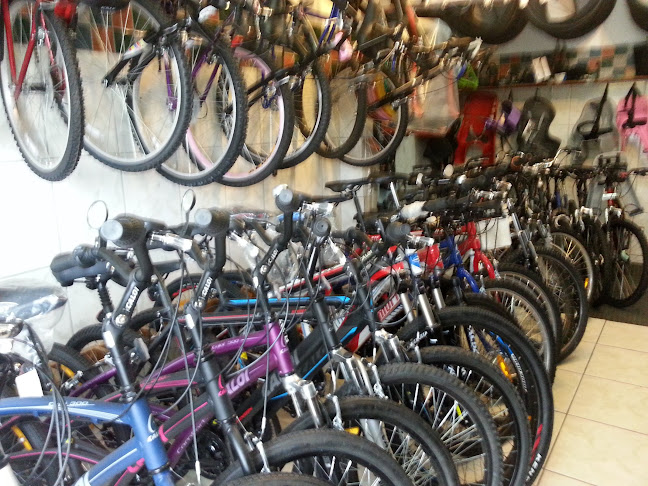 Cicle Fernando