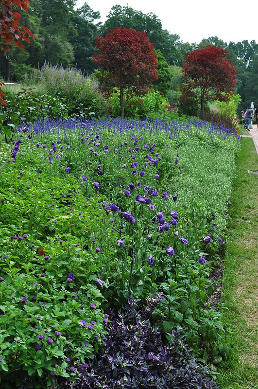 Flower Garden Walk (6)