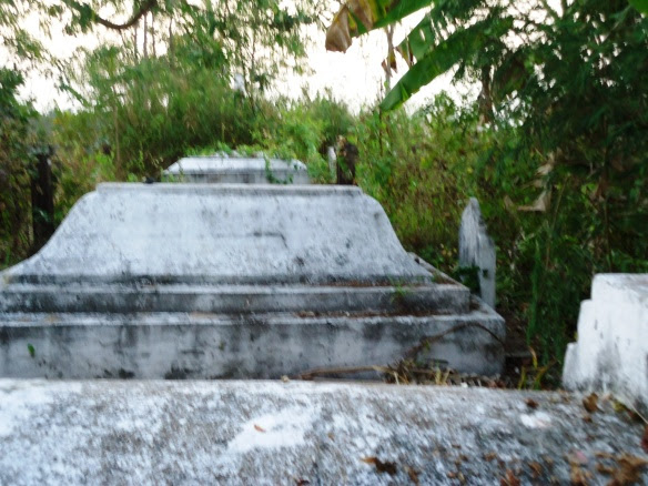 DSC04151
