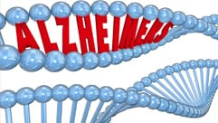 alheimers and DNA