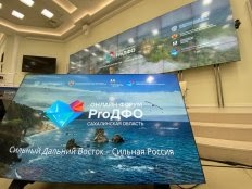 Экологическую ситуацию на Дальнем Востоке обсудили на форуме «ProДФО» в Сахалинской области