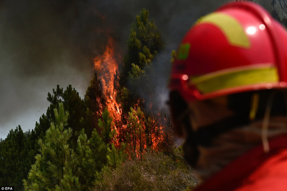 Some 1,126 firemen, 358 land vehicles and ten airplanes and helicopters are working to contain the forest fire in Castelo