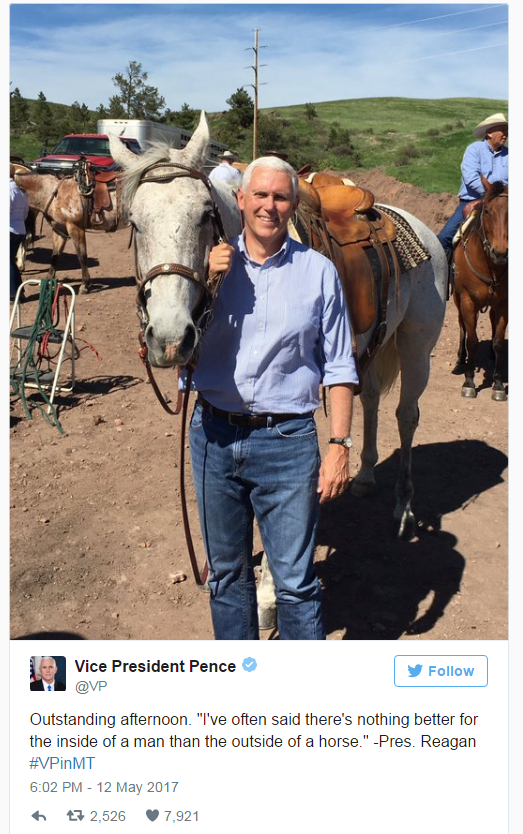 Image result for pence with horse image