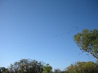 Free Image Hosting at www.ImageShack.us