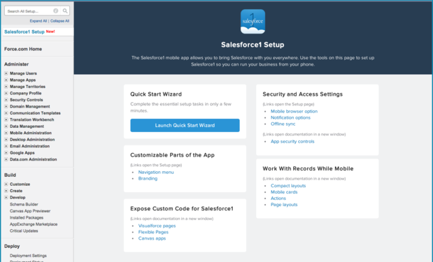 salesforce1 setup