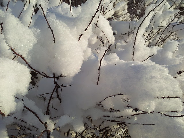 Winter snow