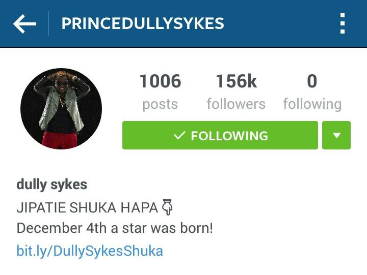 dully insta