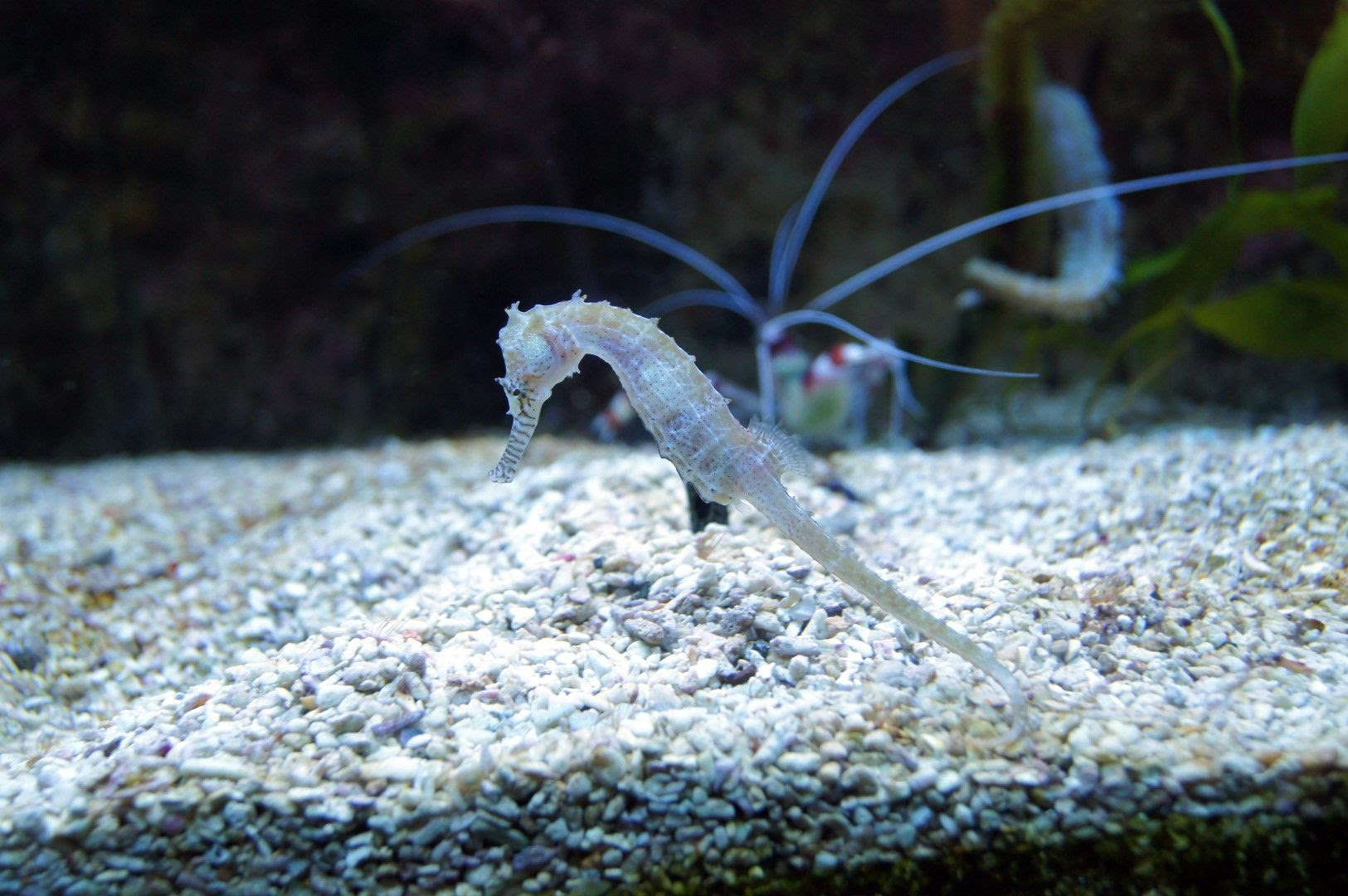 photo DSC00507Large.jpg