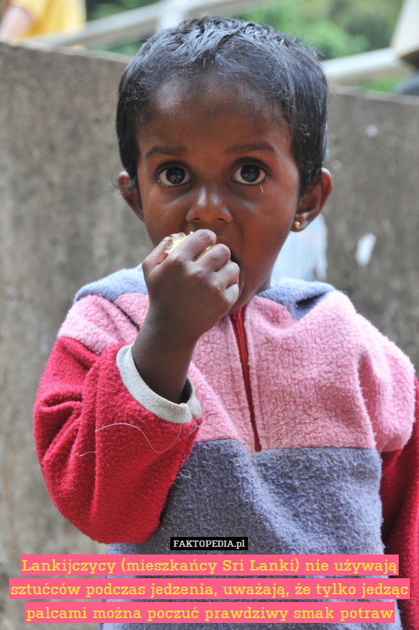 Lankijczycy (mieszkańcy Sri Lanki) – Lankijczycy (mieszkańcy Sri Lanki) nie używają sztućców podczas jedzenia, uważają, że tylko jedząc palcami można poczuć prawdziwy smak potraw 