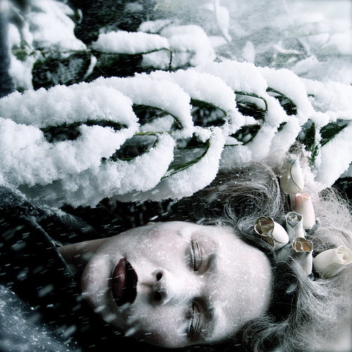 She sleeps until the snow falls...