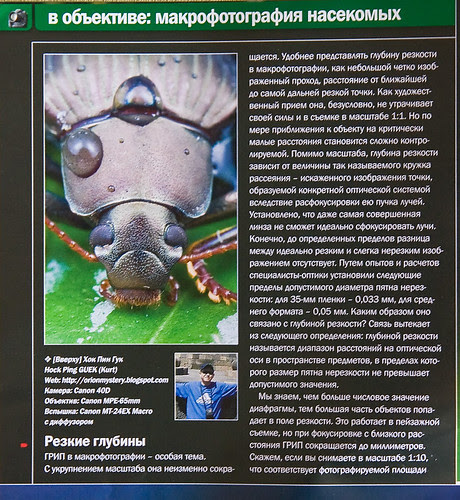 a wet beetle Ukrainian Photographer Magazine IMG_5508 copy